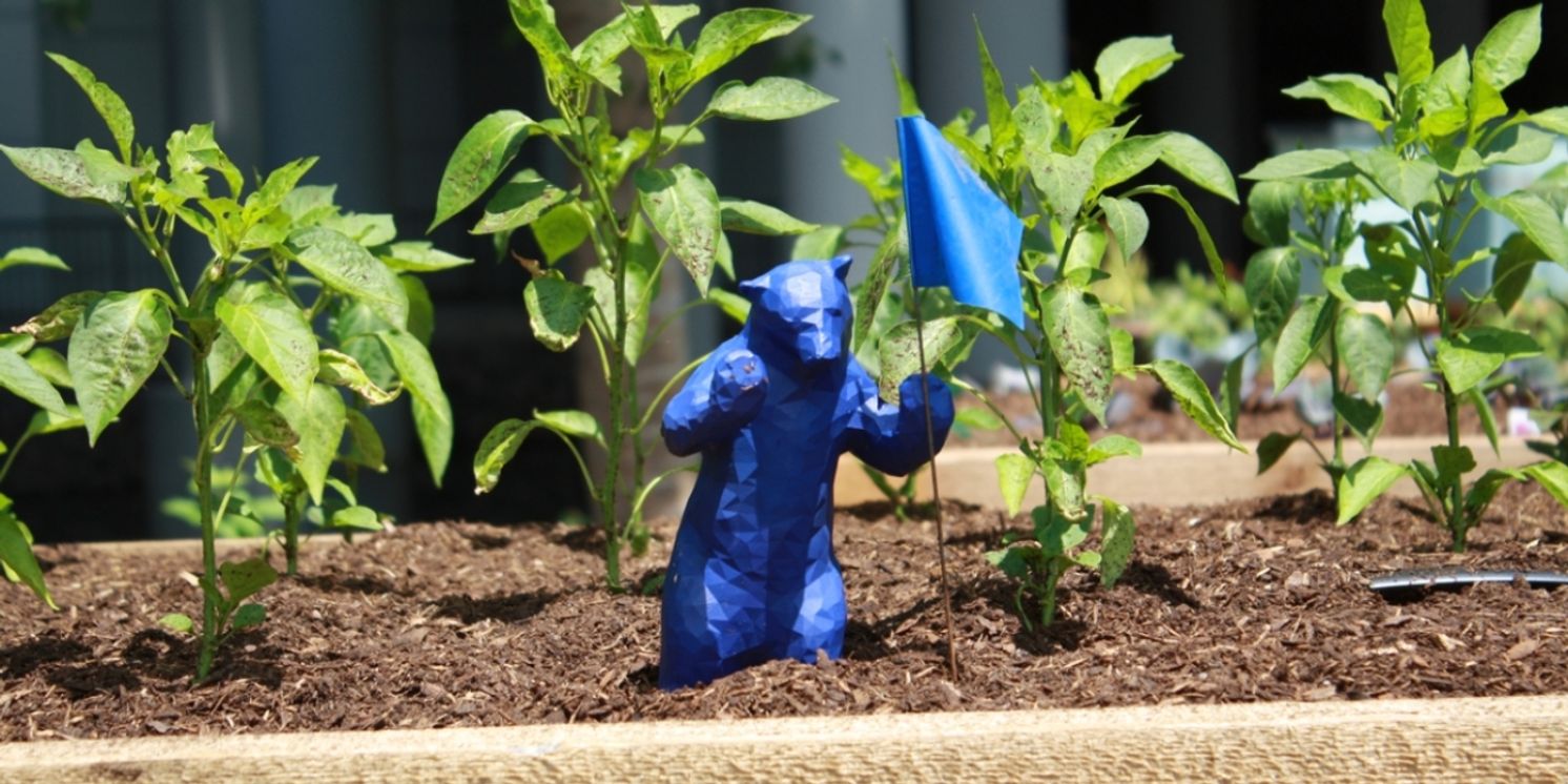 Denver Arts & Venues Calls For Community to Connect With Others Through Denver Art Drop Day  Image