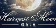 Misty Copeland, Yannick Nézet-Séguin and Ann Ziff to Be Honored at Denyce Graves Foundat Photo