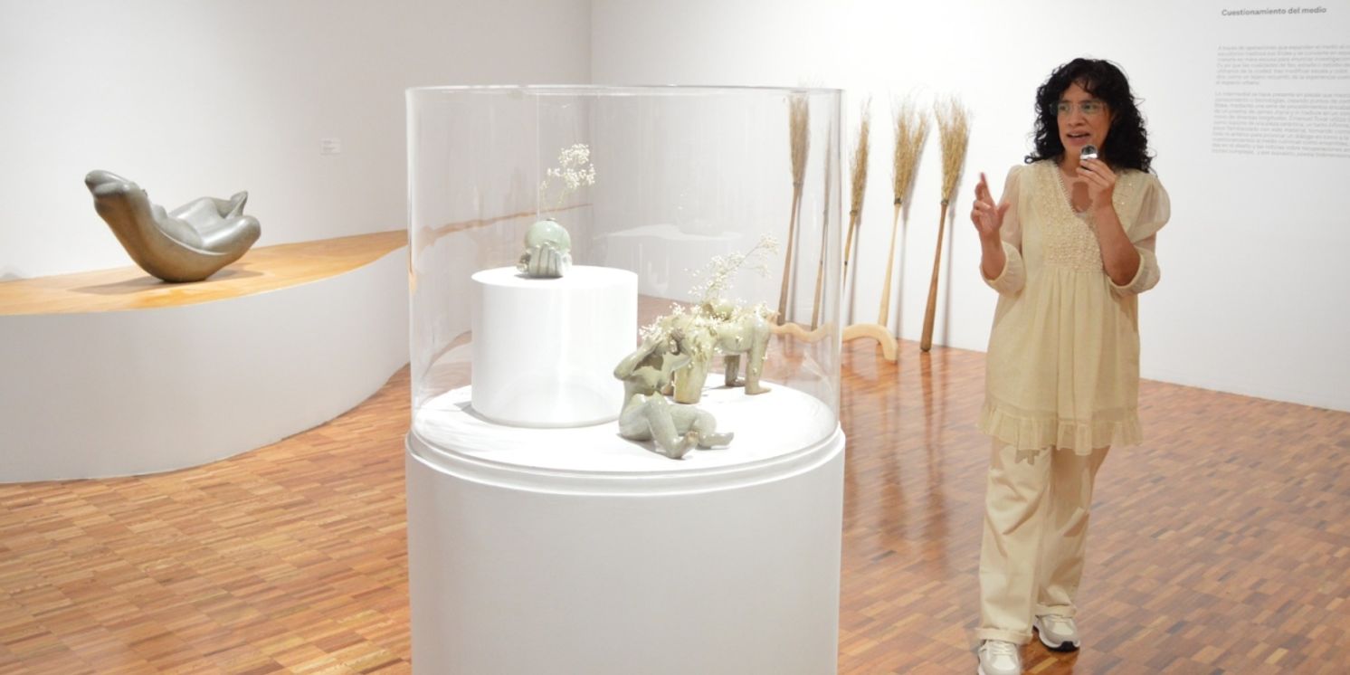 Derivas De La Forma Escultórica: Irrupción Y Densidad, Un Diálogo Generacional De 1927 A La Actualidad  Image