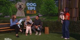 Dog Expert Jaime Goodrich Answers Staff Pet Questions on LIVE WITH KELLY AND MARK