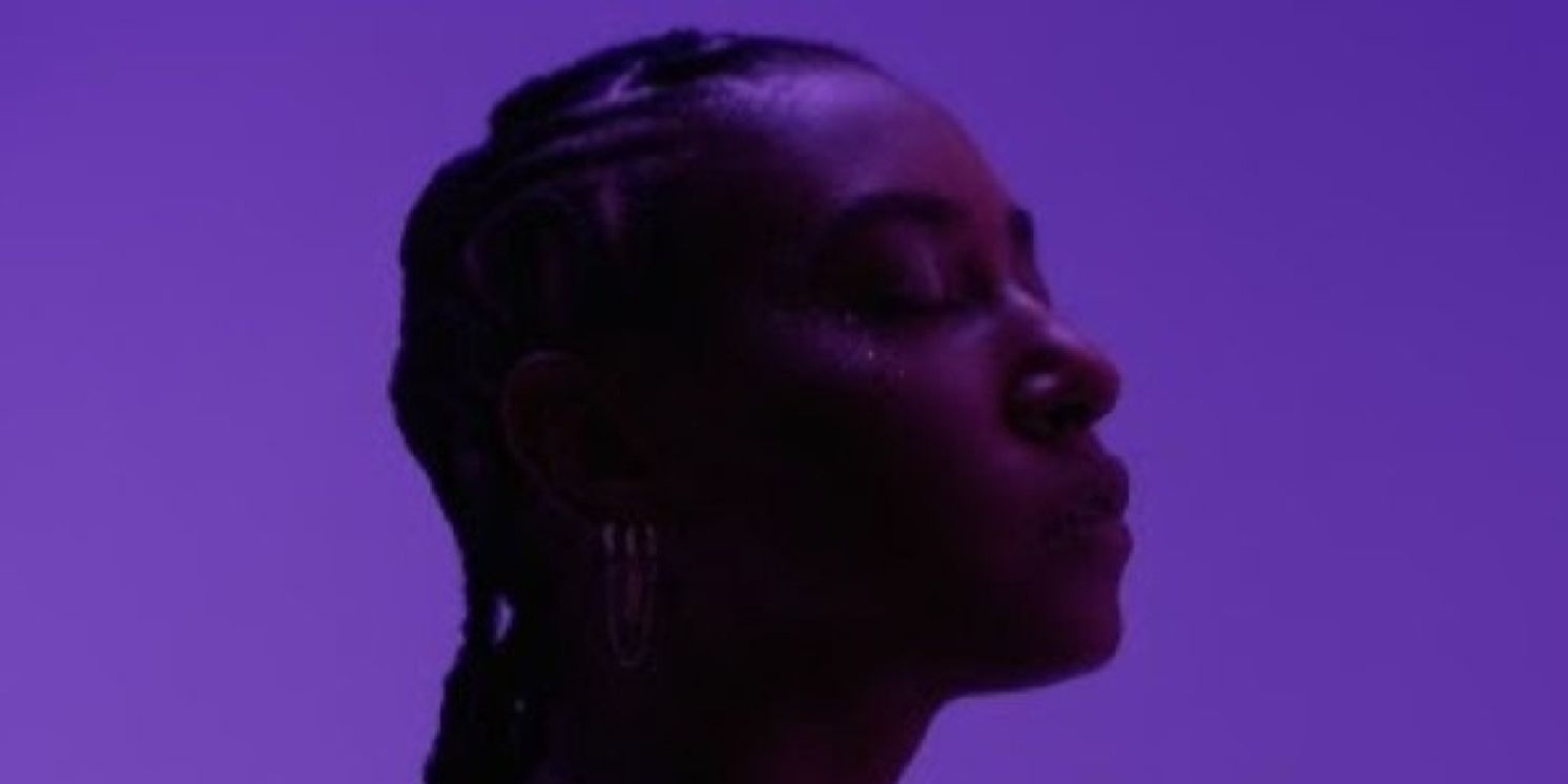 Dominique Fils-Aimé to Bring THE SUNSHINE TOUR to TD Music Hall  Image