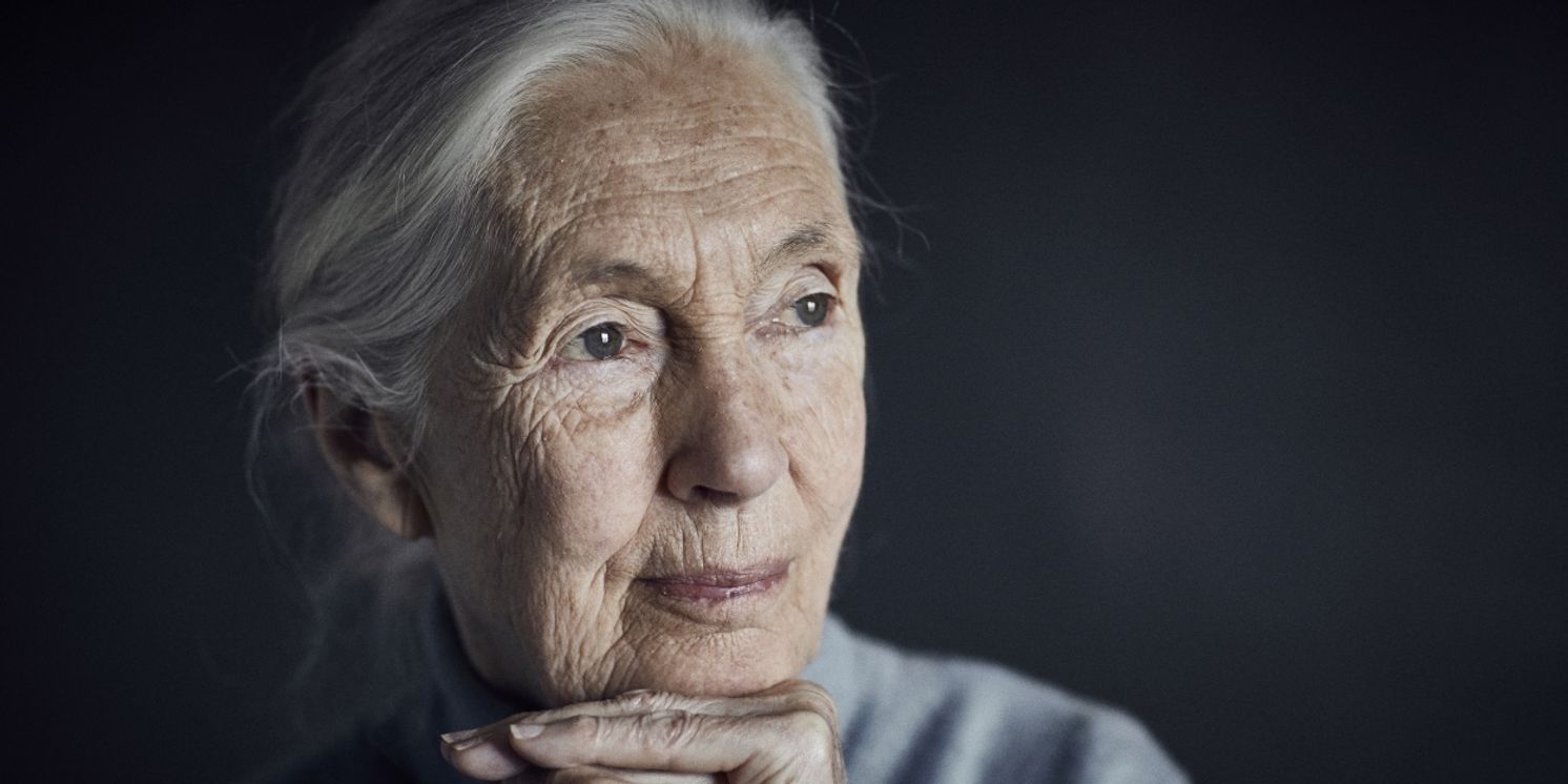 Dr. Jane Goodall To Launch Australia/New Zealand Tour In 2024  Image