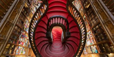 Dua Lipa and Livraria Lello Launch The Manifesto Library Dedicated to Banned and Censored  Photo