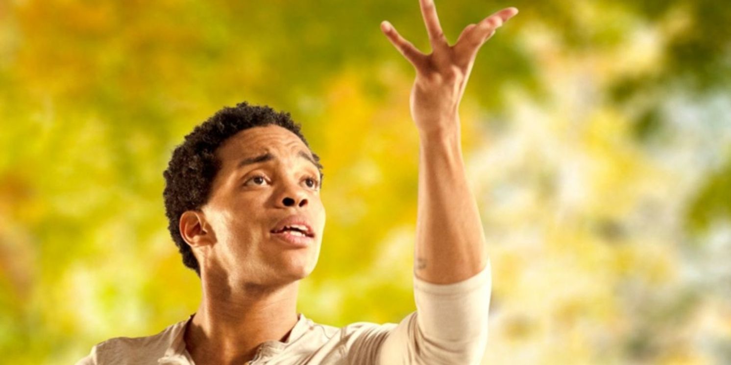 Dusk Dances to Return to Withrow Park for its 29th Season  Image