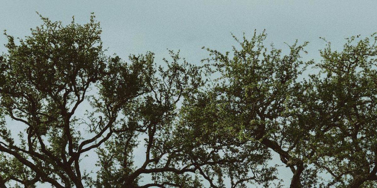 Dylan Gossett Releases New Single CLOTHESLINE, Launches Tour With Charles Wesley Godwin