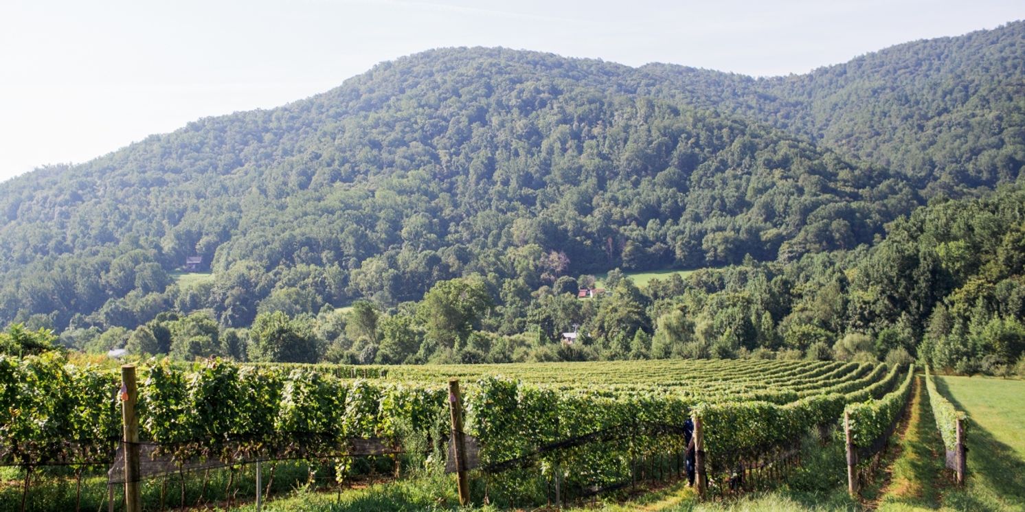 EARLY MOUNTAIN'S QUAKER RUN VINEYARD in Virginia-Exceptional Holiday Wines  Image