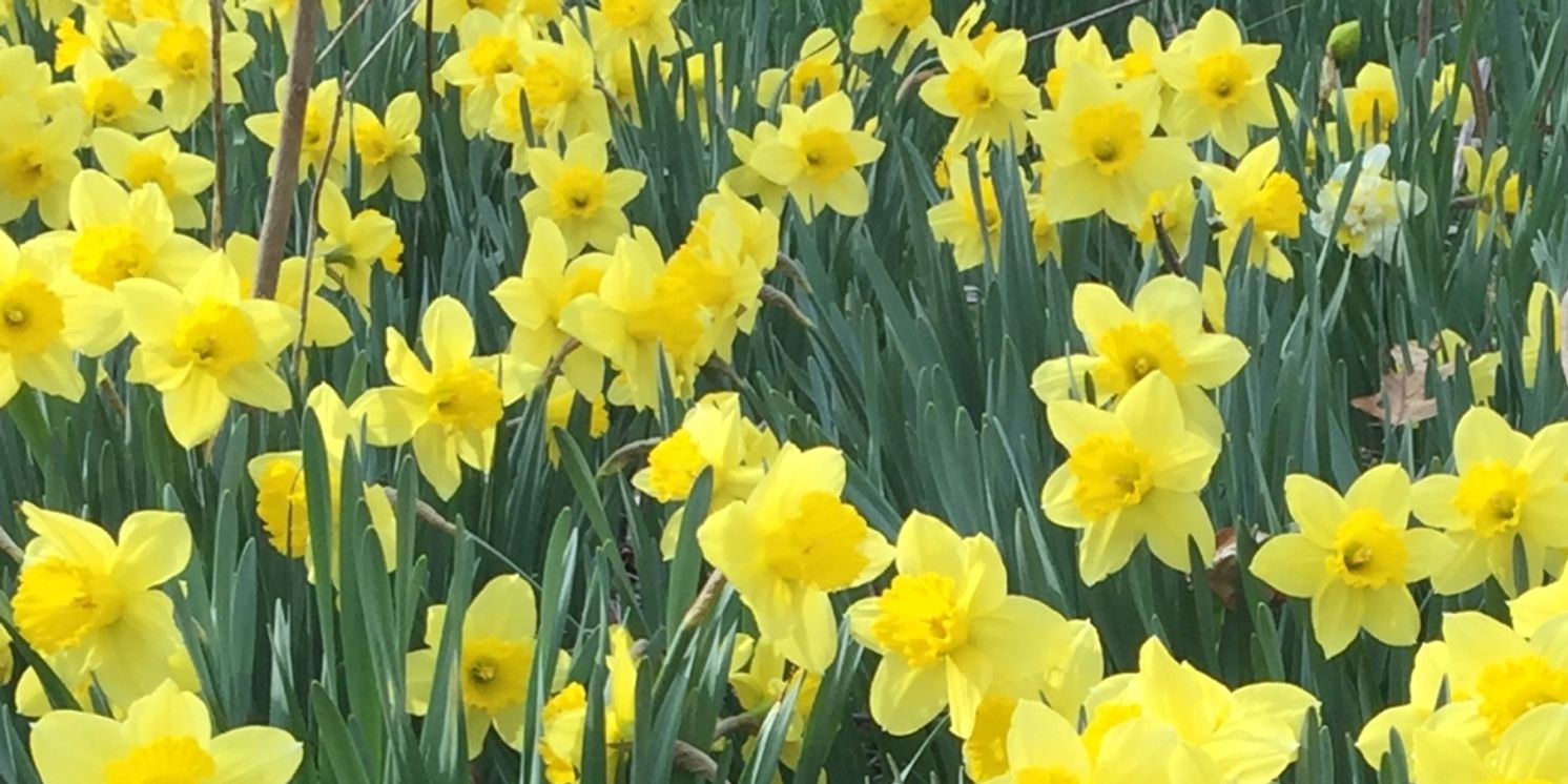 EASTER DINING-Get Your Reservations for Sunday's Wonderful Meal  Image