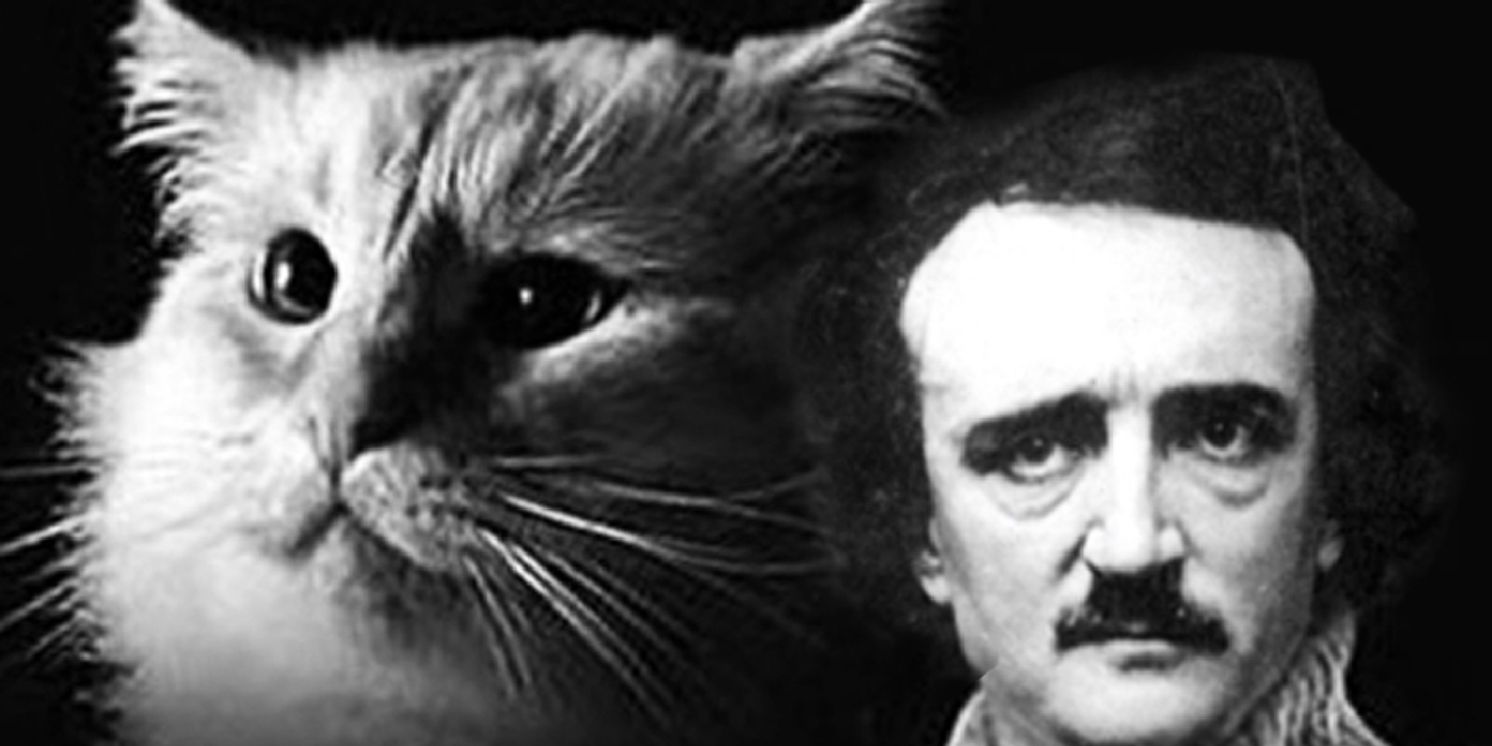 EDGAR ALLAN POE IS DEAD AND SO IS MY CAT is Coming to BuntPort Theater  Image
