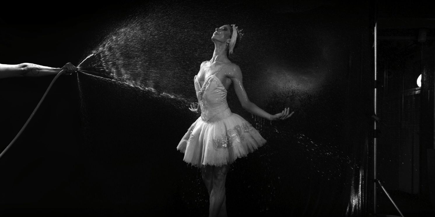 EL LAGO DE LOS CISNES Comes to Teatro Colón  Image