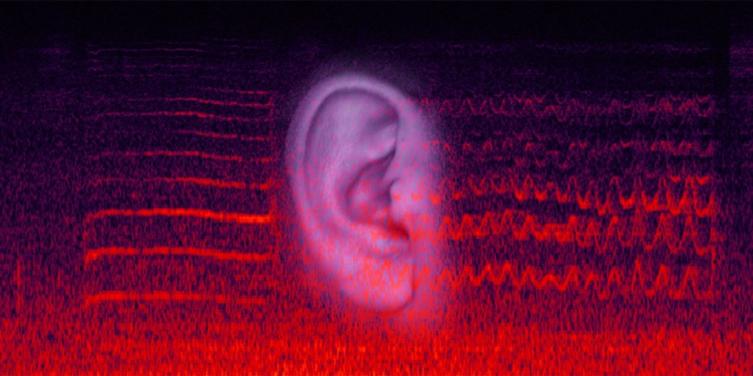 El Museo De Arte De Ciudad Juárez Invita A Crear Una Pieza Sonora Colectiva E Interactiva  Image