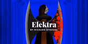 ELEKTRA at San Francisco Opera Video