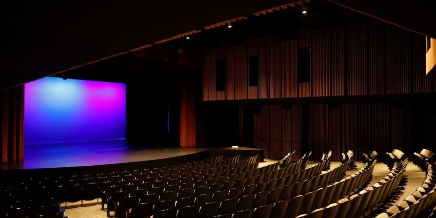 ELEPHANT & PIGGIE'S WE ARE IN A PLAY! Comes to AMFA's Children's Theatre Photo