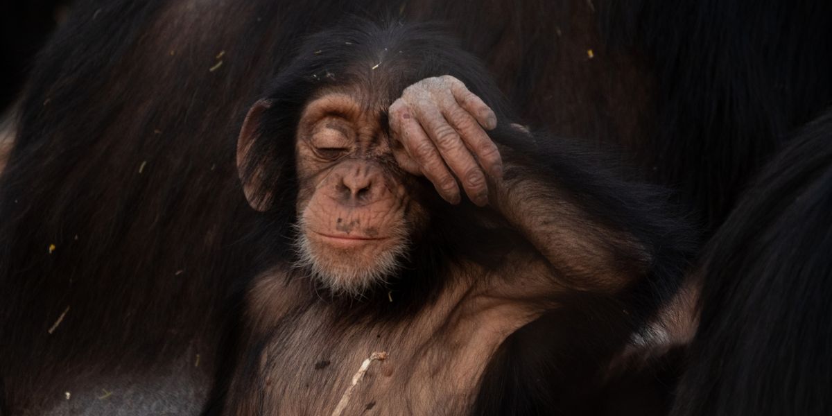 EVOLUTION EARTH Climate Series Coming to PBS