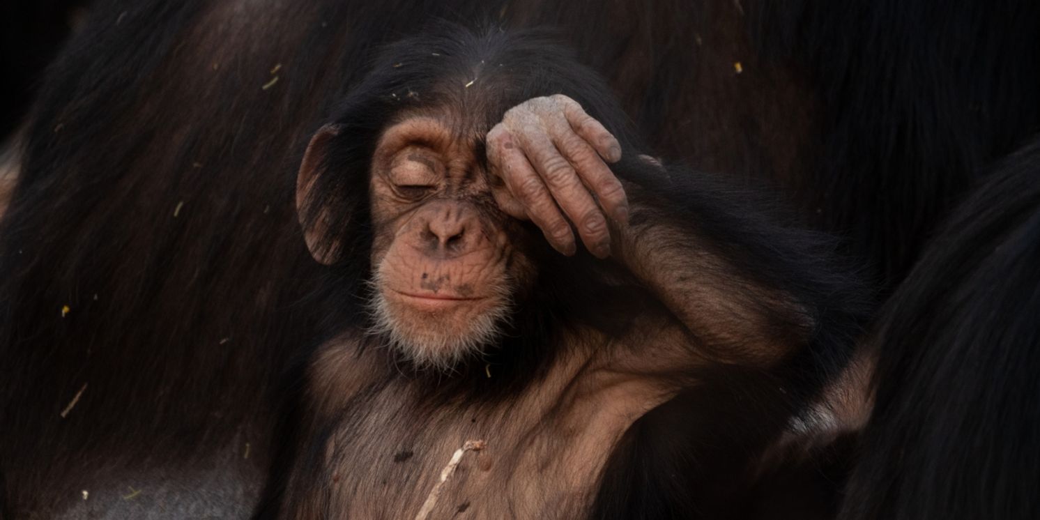 EVOLUTION EARTH Climate Series Coming to PBS  Image