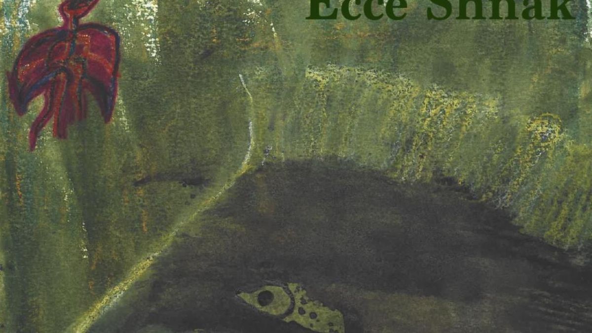 Ecce Shnak to Release DANDY VARIANCES, North American Tour Starts November 11