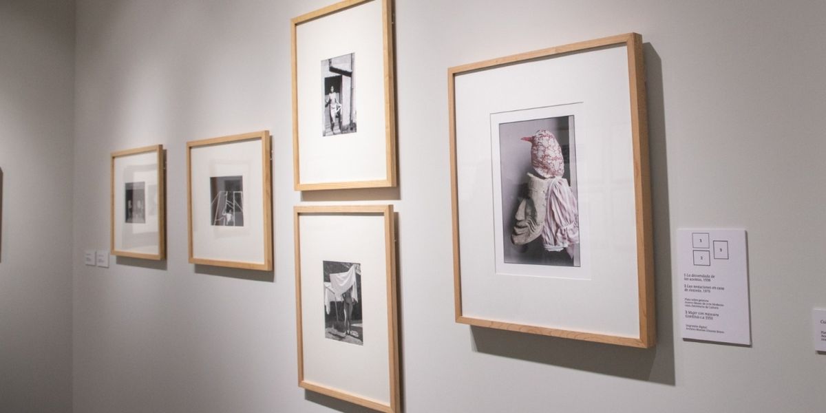 El Museo De Arte Moderno Revisará Su Colección Fotográfica Desde Una Perspectiva Histórica Y Transversal