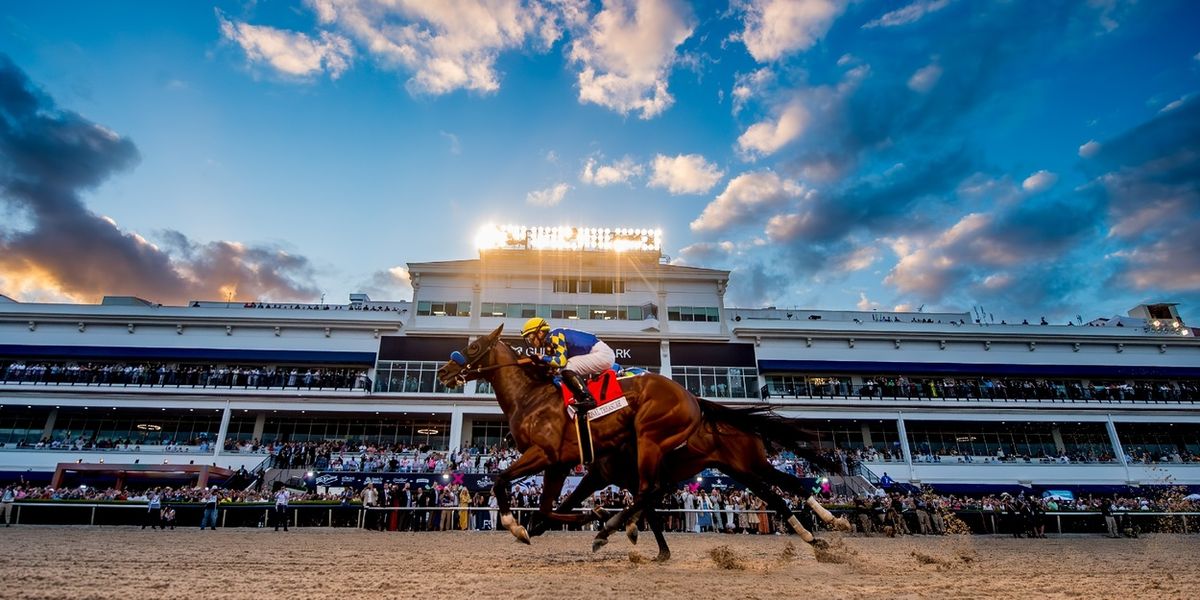 Empire of the Sun and Two Friends to Headline 2026 Pegasus World Cup