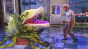 Ethan Slater & LITTLE SHOP OF HORRORS Cast Perform 'Feed Me' on GMA Video