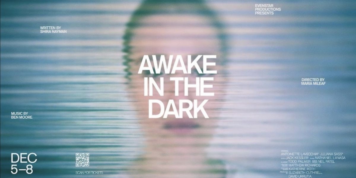 Evenstar Productions to Present AWAKE IN THE DARK Based On Shira Nayman's Bestselling Book