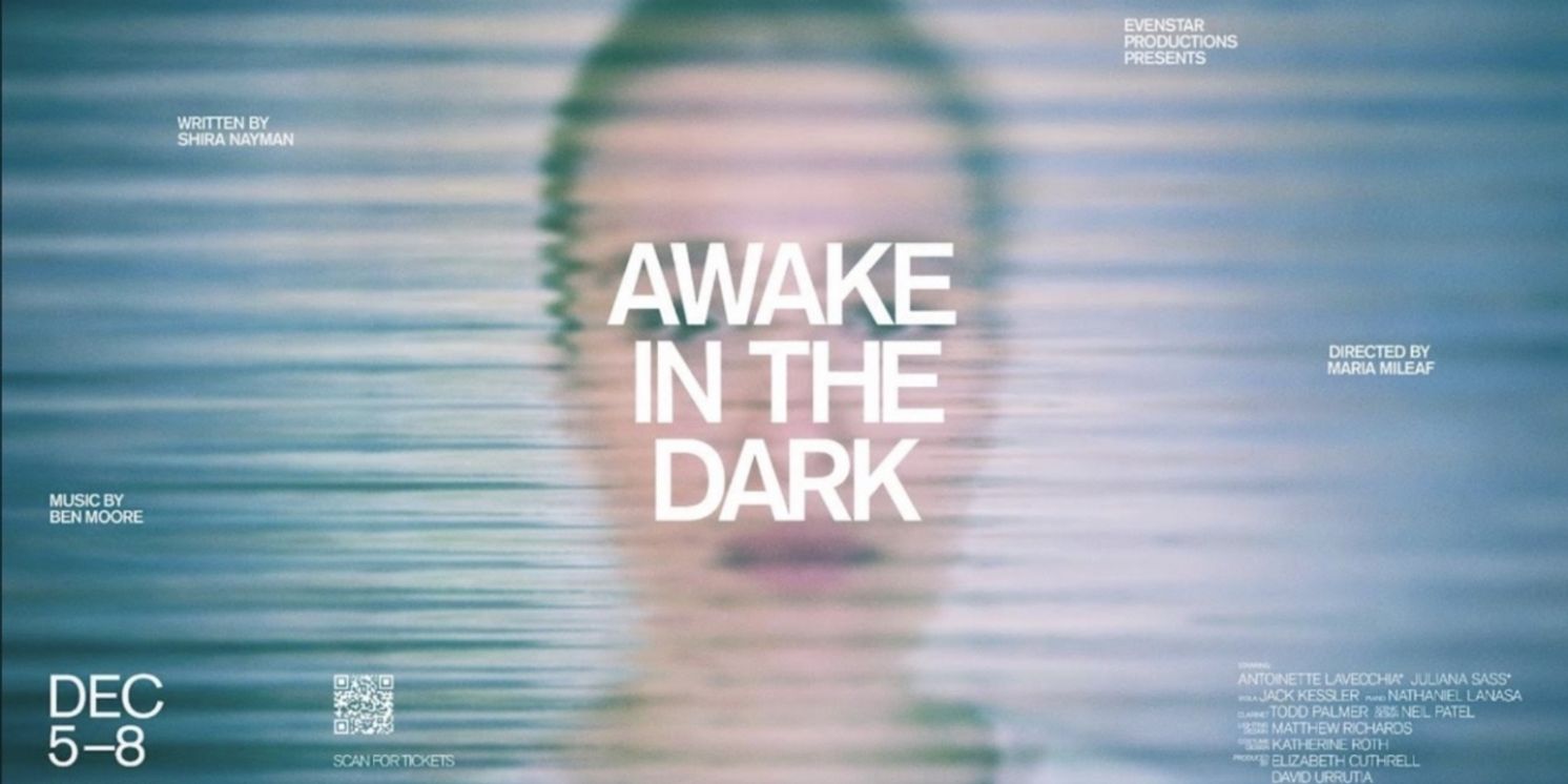 Evenstar Productions to Present AWAKE IN THE DARK Based On Shira Nayman's Bestselling Book  Image