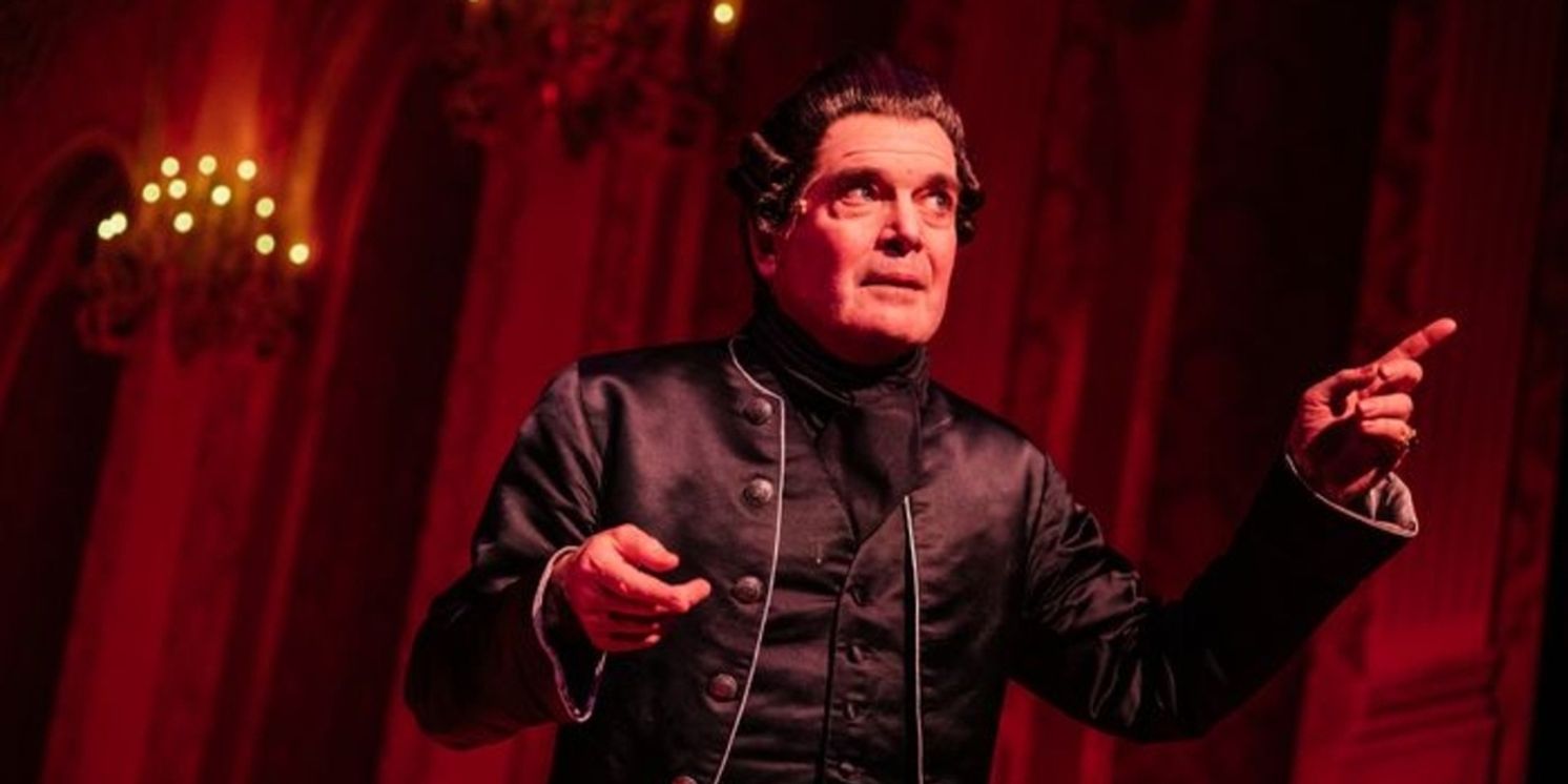 Everything You Need to Know About AMADEUS: From Stage to Screen  Image