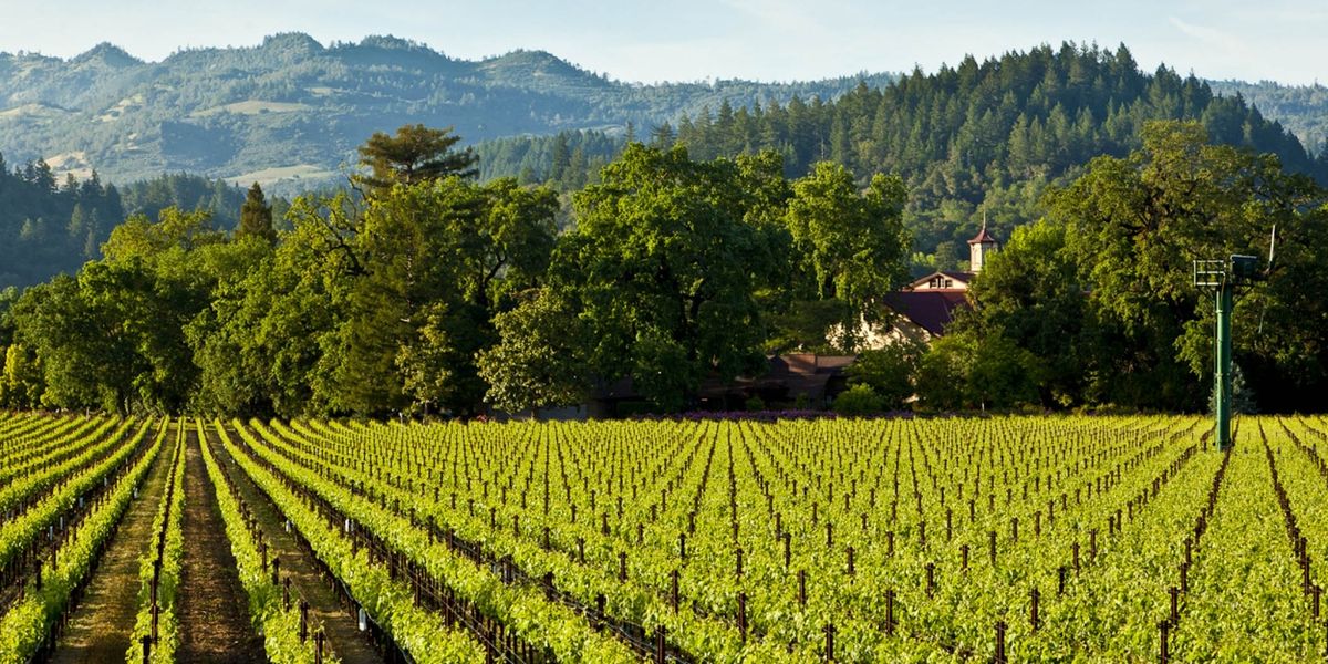 Exceptional Valentine's Day Wines-Feel the Love