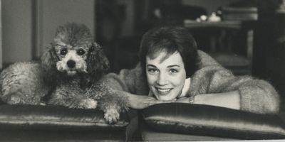 Exclusive: Julie Andrews Is ‘Nervous’ to See Her Documentary but Hopes It’ll Serve a Photo