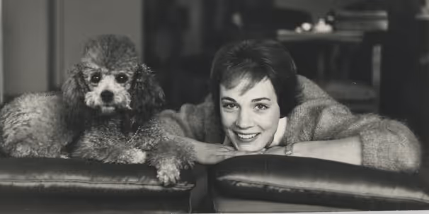 Exclusive: Julie Andrews Is ‘Nervous’ to See Her Documentary but Hopes It’ll Serve as Her Third Memoir