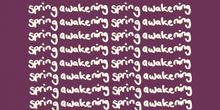 Exclusive: SPRING AWAKENING Revival Saw About ‘130 Hours’ of Auditions, It Will B
