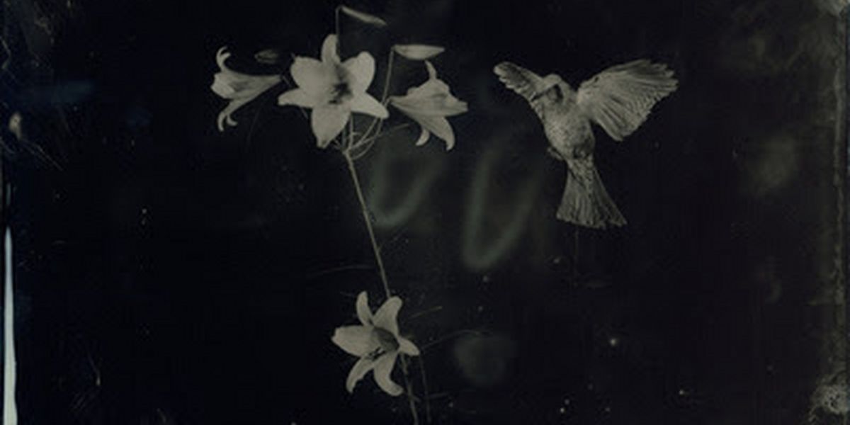 Exhibition by Yamamoto Masao: AMBROTYPES Will be on View at Yancey Richardson