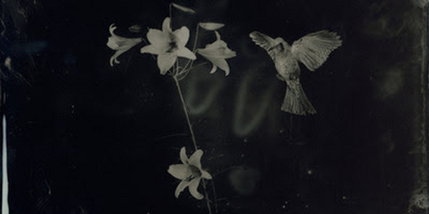 Exhibition by Yamamoto Masao: AMBROTYPES Will be on View at Yancey Richardson  Image