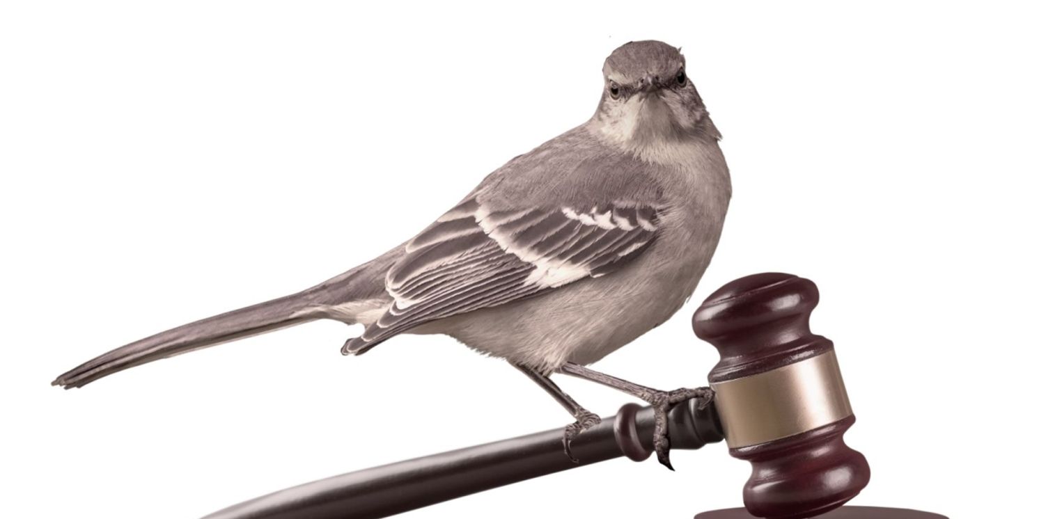 TO KILL A MOCKINGBIRD Will Play at Cone Man Running Productions This July  Image