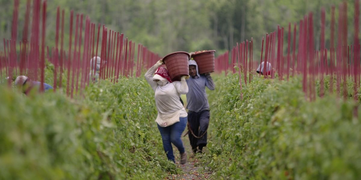 FOOD INC 2 Will Screen at Jaffrey's Park Theatre