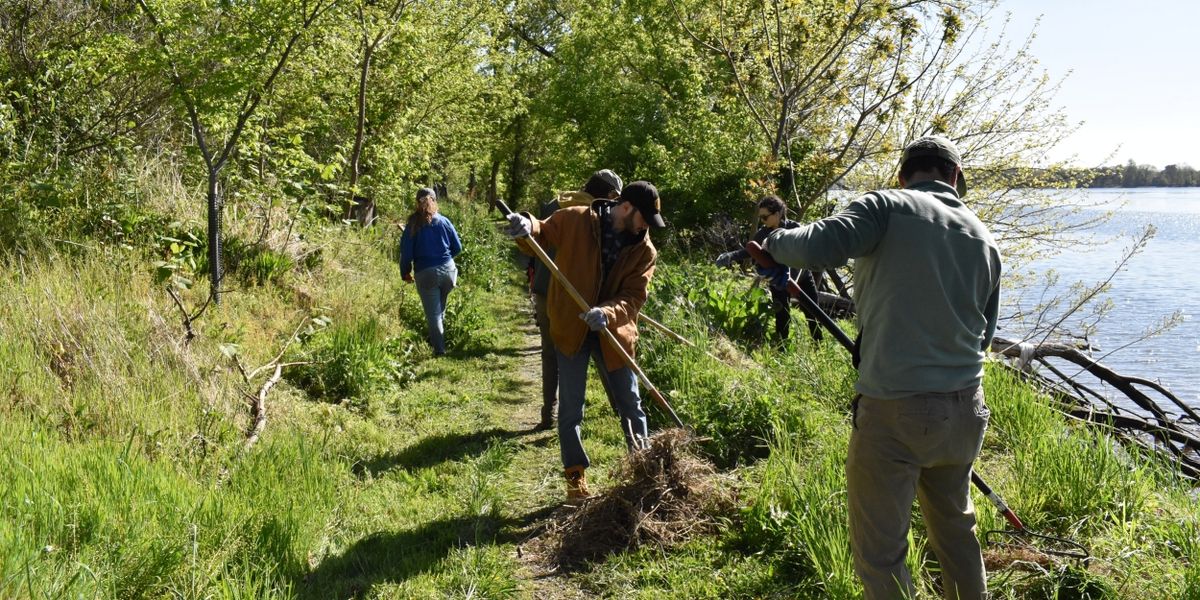FRESHWATER MUSSELS Make a Comeback on the Delaware River
