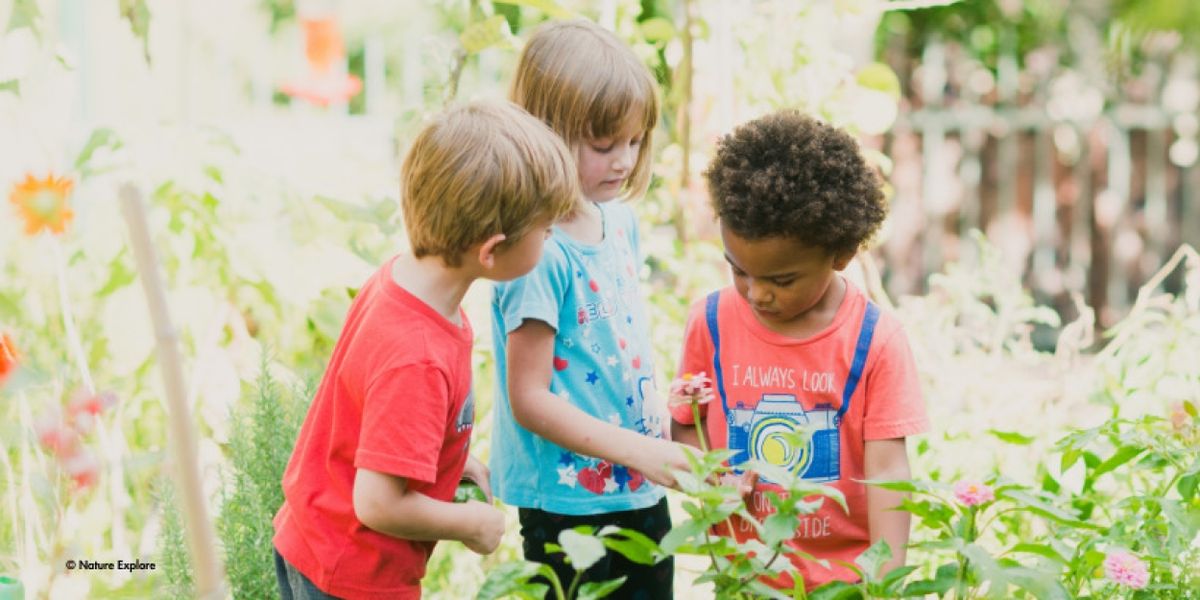 Celebrate Nature In April At The Museum Of Discovery And Science