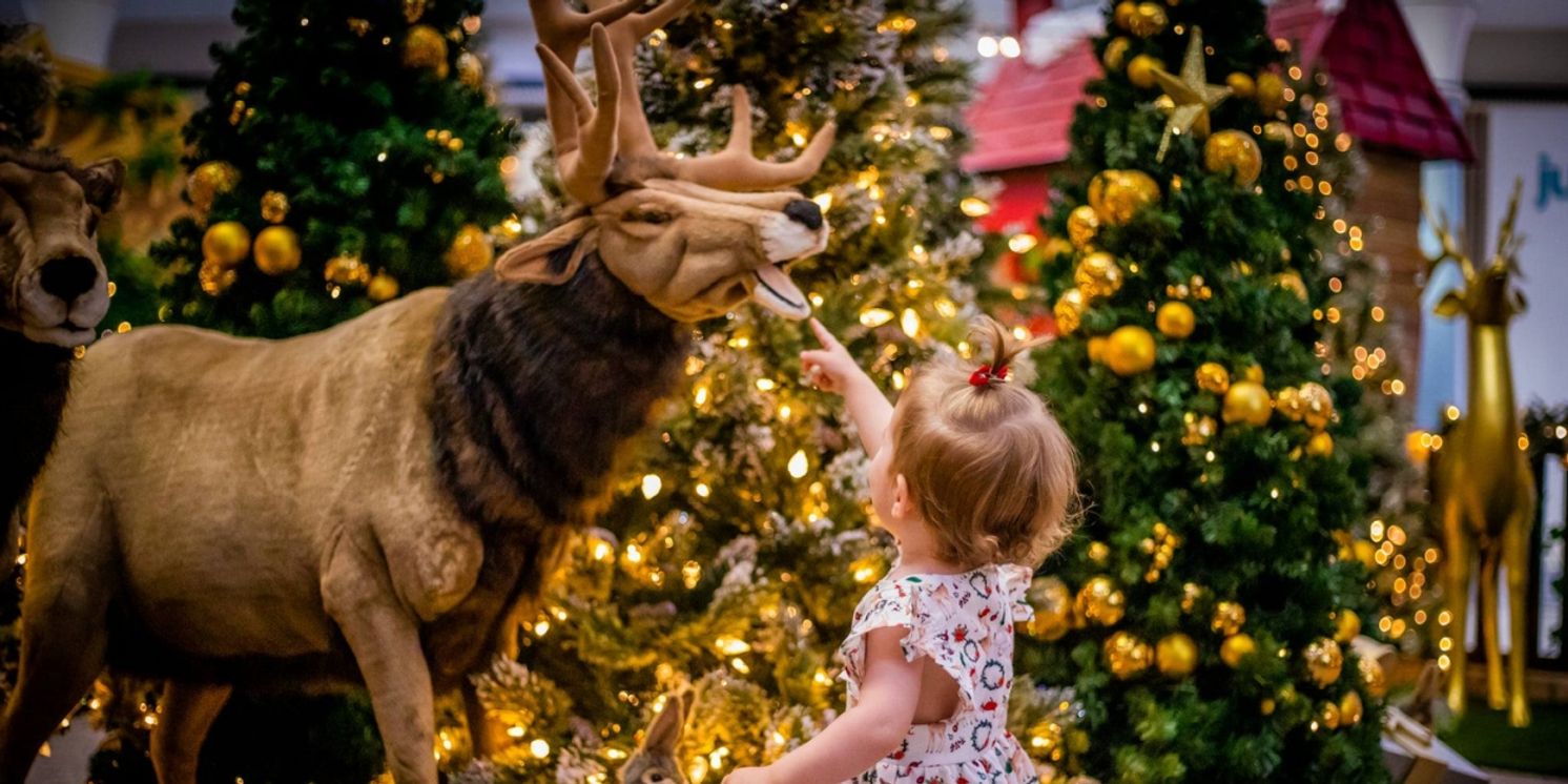 FROSTED – A Winter Spectacular! to Celebrate Christmas in July  Image