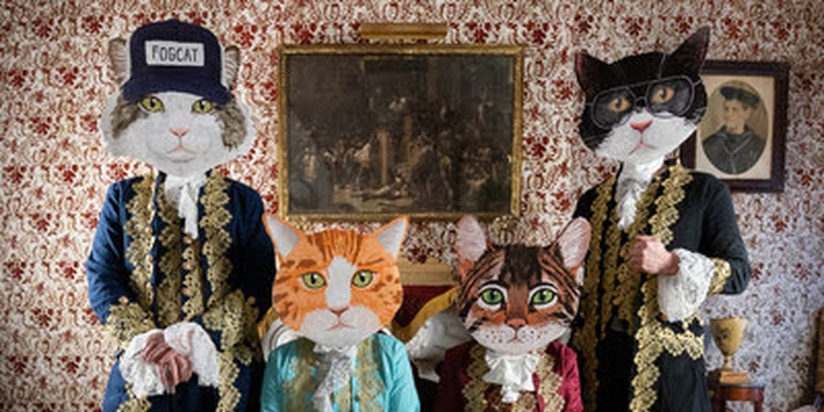 Fantastic Cat Releases New Album 'Now That's What I Call Fantastic Cat'