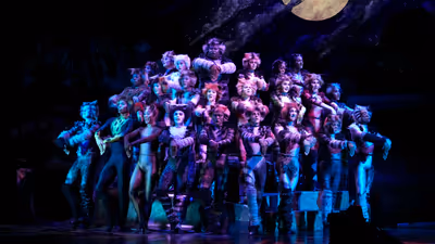 Feature: So...What is CATS Even About? A Character Guide to CATS THE MUSICAL