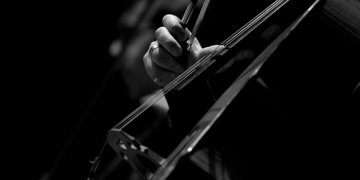 Feature: Rita Deanin Abbey Art Museum To Present COLORS: A CONCERT EXPERIENCE ON STRINGS  Image
