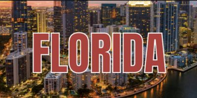 BROADWAY MISCAST, AMERICAN IDIOT & More Lead Tampa's Summer Critic Picks Photo
