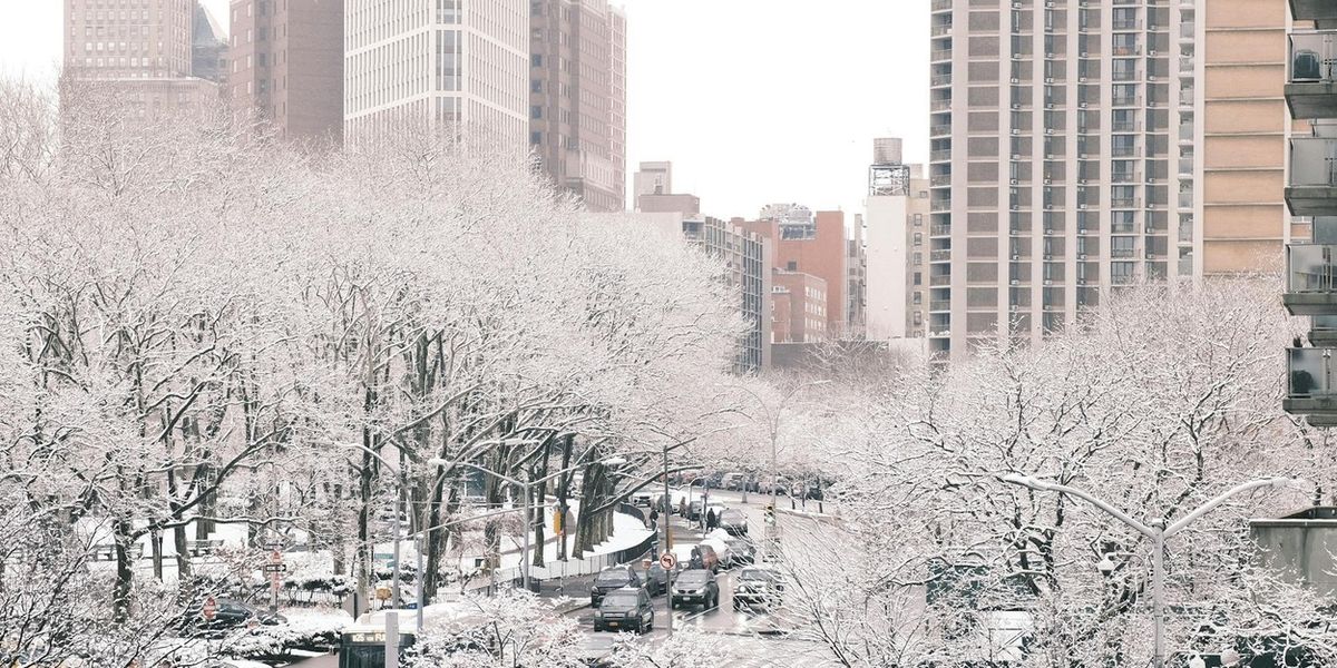 Will the Show Go on Amid Today's Blizzard? 5 NYC Performers Share Their Stories