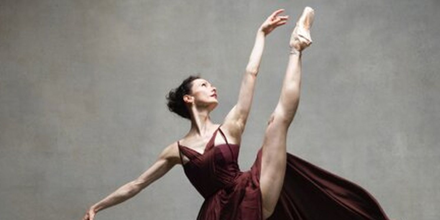 Festival Ballet Theatre To Host 15th Annual GALA OF THE STARS in Orange County   Image
