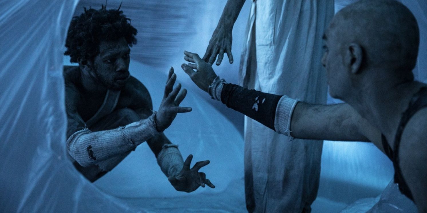 Film Screening and Artist Talk with Stefanie Batten Bland Comes to Southampton Arts Center  Image