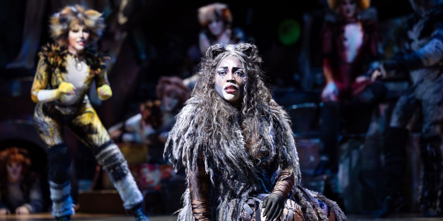Final Perth Tickets Now On Sale For CATS  Image