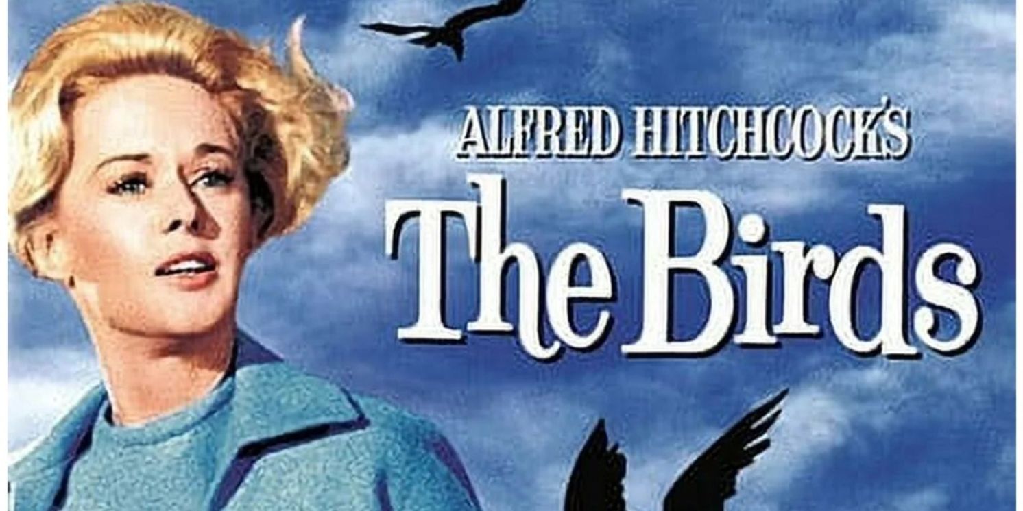 Fine Arts Theatre Beverly Hills Will Show a Special 60th Anniversary Screening of Alfred Hitchcock's THE BIRDS  Image