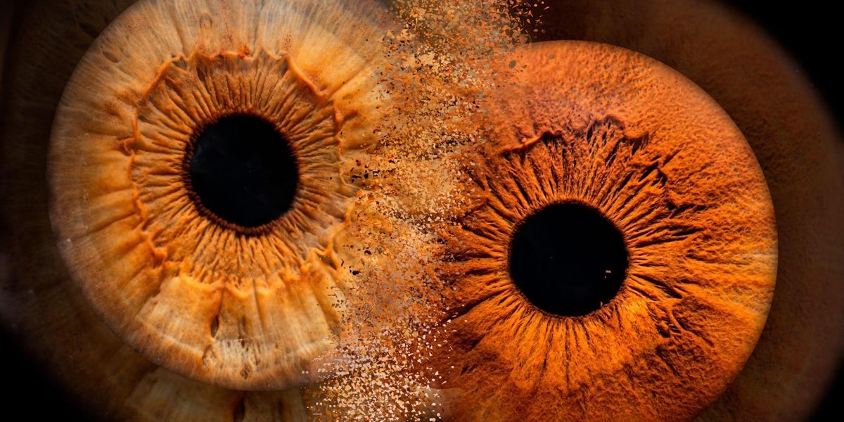 Firehall Arts Centre Presents ETUAPTMUMK/TWO-EYED SEEING: WAYS OF BEING AND SEEING, November 2-5