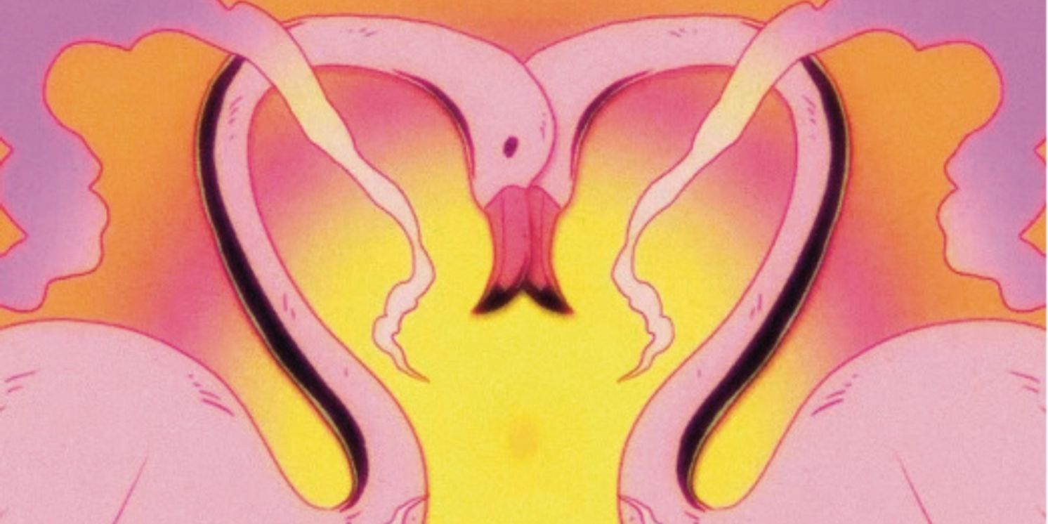 Flamingosis Drops 'Nebula Gazer' Single And Animated Visualizer By Space Dawg  Image