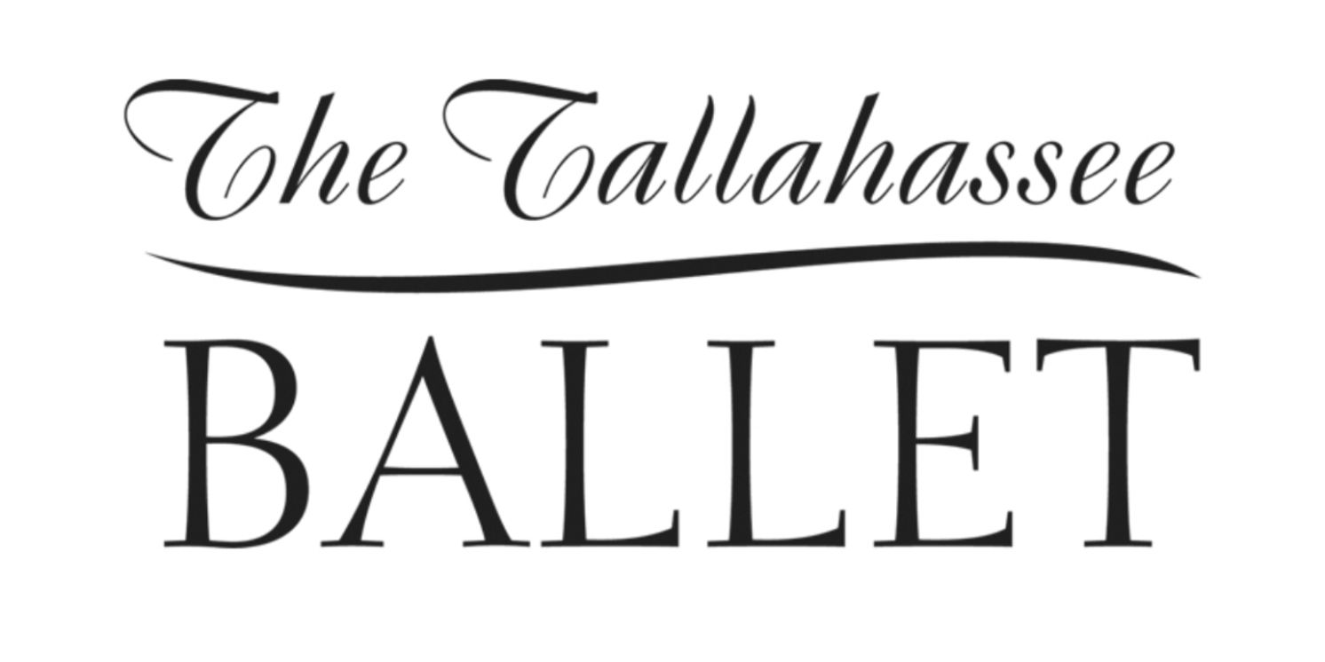 Florida Arts Organizations Grapple With Budget Cuts After State Denies $1.5 Million in Funding  Image