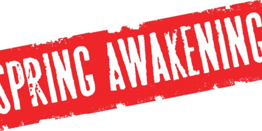 Aspire Performing Arts Company To Present SPRING AWAKENING This Month Photo