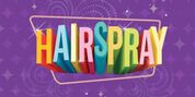 Full Cast Set For HAIRSPRAY at The Muny Photo